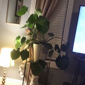 Meet your Posher, Susan